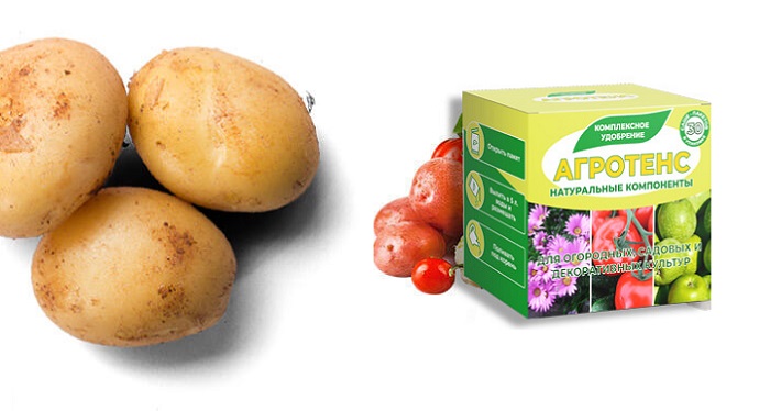 Агротенс для картофеля